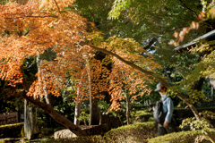 秋の旅人　DSC02943