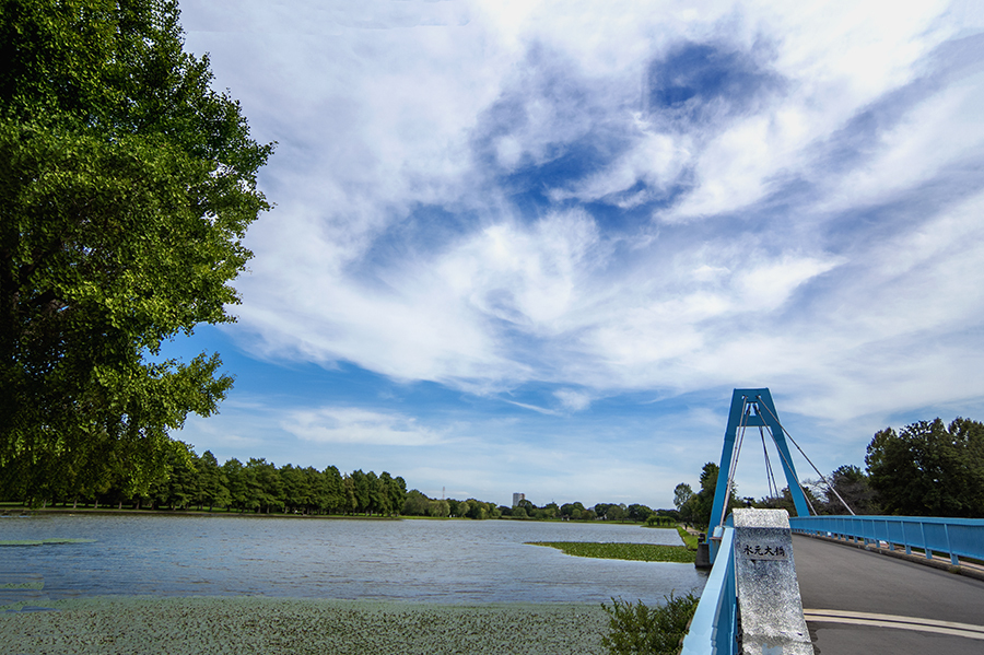 DSC02807. 大空はカンバス