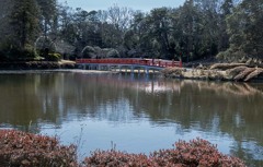 冬の八ッ橋　P1060190