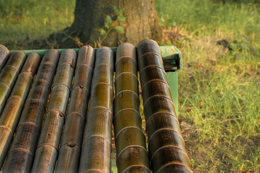 DSC04638. 涼しくて心地よい竹のベンチ