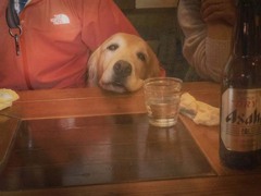 一休み　P1060245