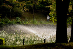 DSC08513. 公園の哀愁