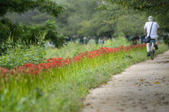 DSC04015 花街道を行く人