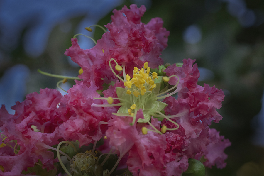 DSC04725.  皆でひとつの美