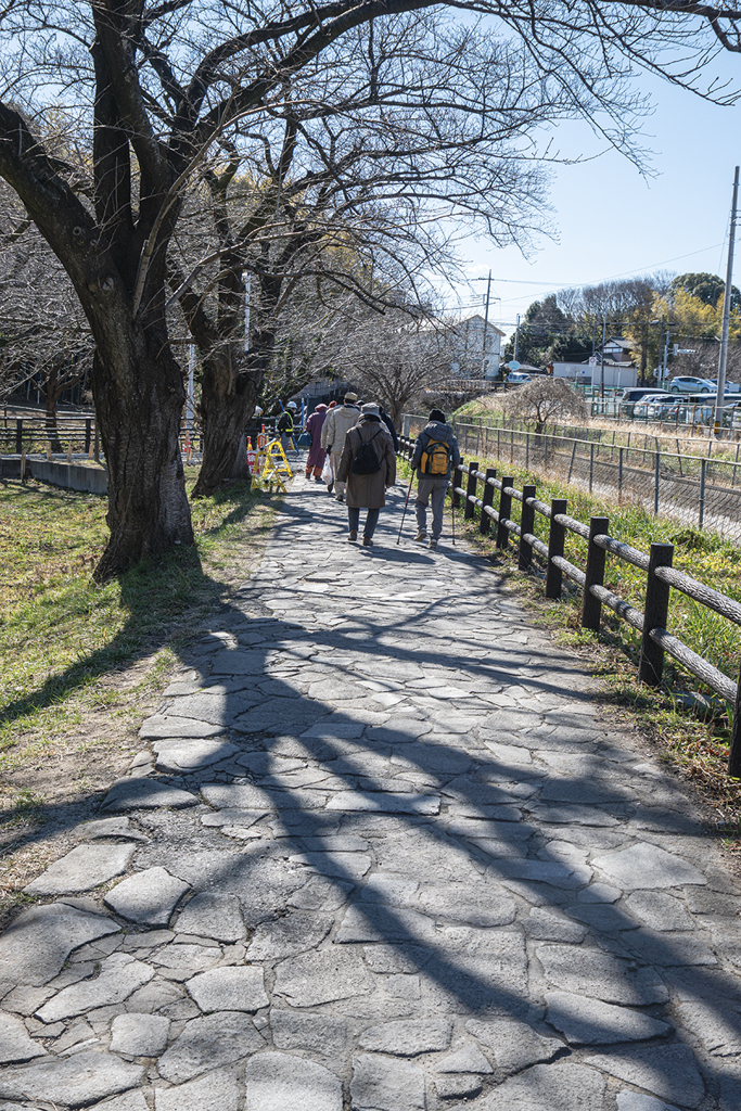 DSC00252. 早春を尋ぬ
