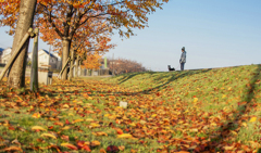 晩秋の土手もよう　DSC00867