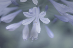 DSC01885 勝利の予感