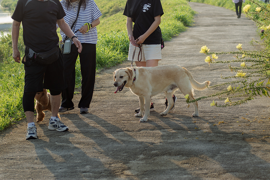 影法師たちDSC09312.