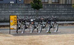 公園の貸自転車　P1060052