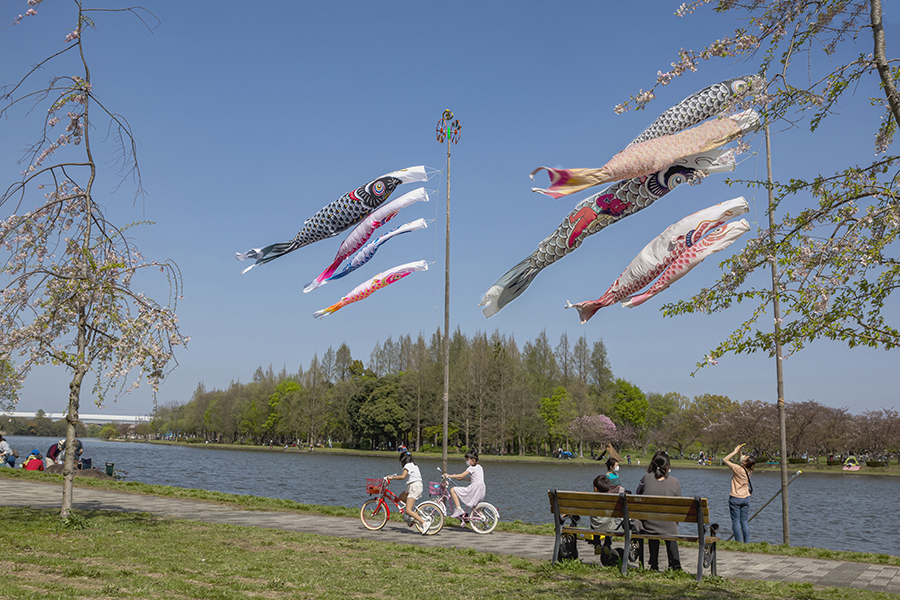 DSC04218 公園に薫風