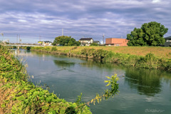 DSC02727-冬鳥がもう来ていました