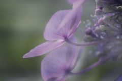 DSC06442 哀愁の街に霧が降る