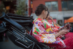 DSC05351-花咲く乙女たち