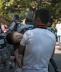 スヤスヤお眠り