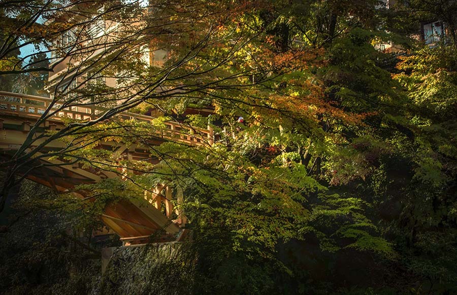 DSC05650　木の橋の匠