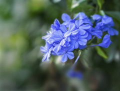 DSC01709  今はもう秋
