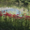 DSC04276　水辺の秋日和