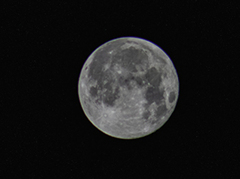 DSC09458.  月光値千金