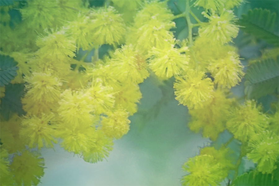 語り合い紡いで