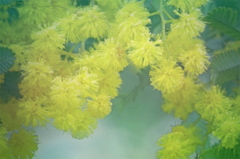 語り合い紡いで