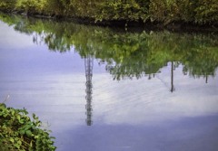 DSC04154 初冬の川 DSC04154 初冬の川