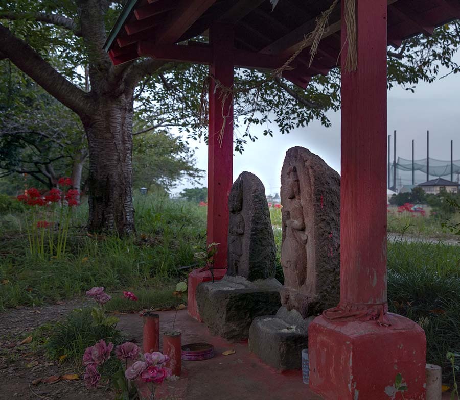 DSC05492.赤い彼岸花と馬頭観音