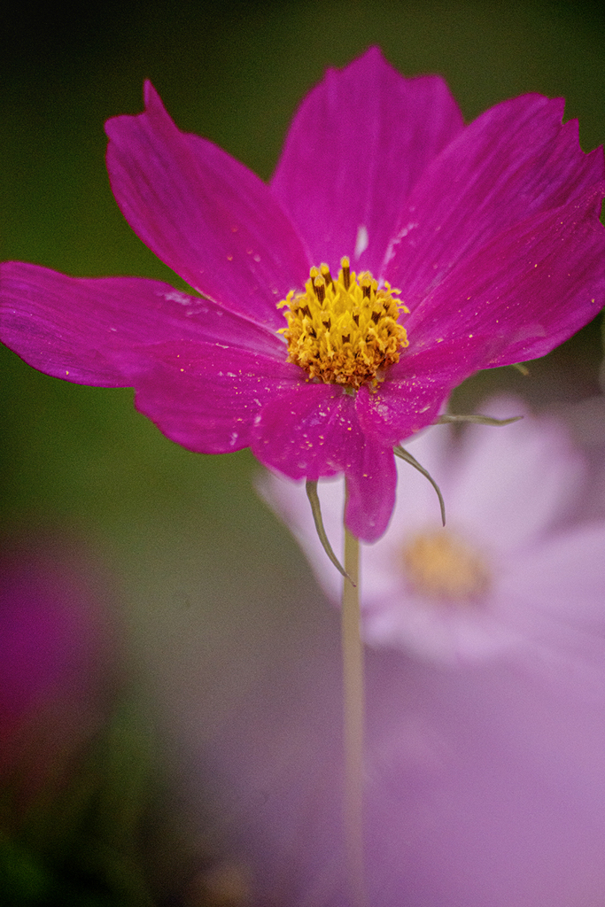 DSC08663. 宴の後？