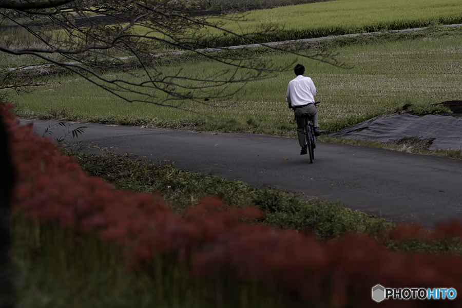DSC00296 オッと枝が道路にはみ出てる 
