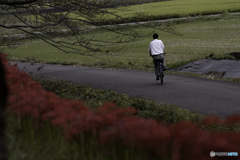 DSC00296 オッと枝が道路にはみ出てる 