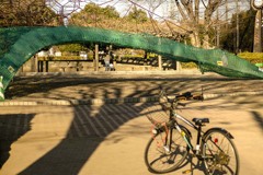 DSC01584 師走の公園