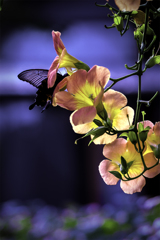 DSC01727  ひと休み