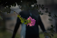 DSC07726. 花かげ