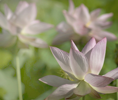 DSC02354- They aer now talking on noisy　