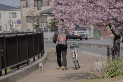 DSC03983 遊歩道と散歩の人