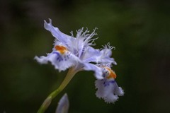 DSC01335 さようなら平成