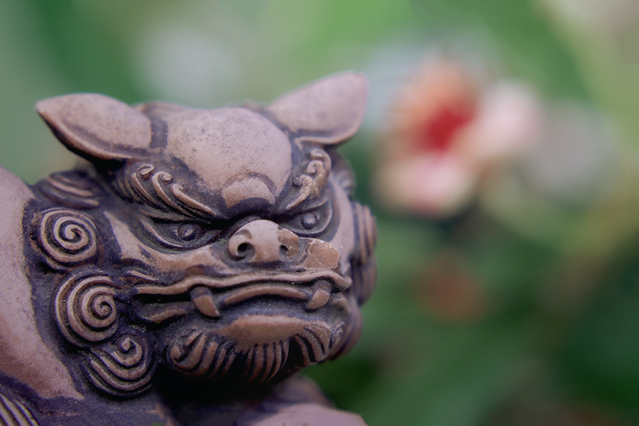 DSC01734. 花と竜？