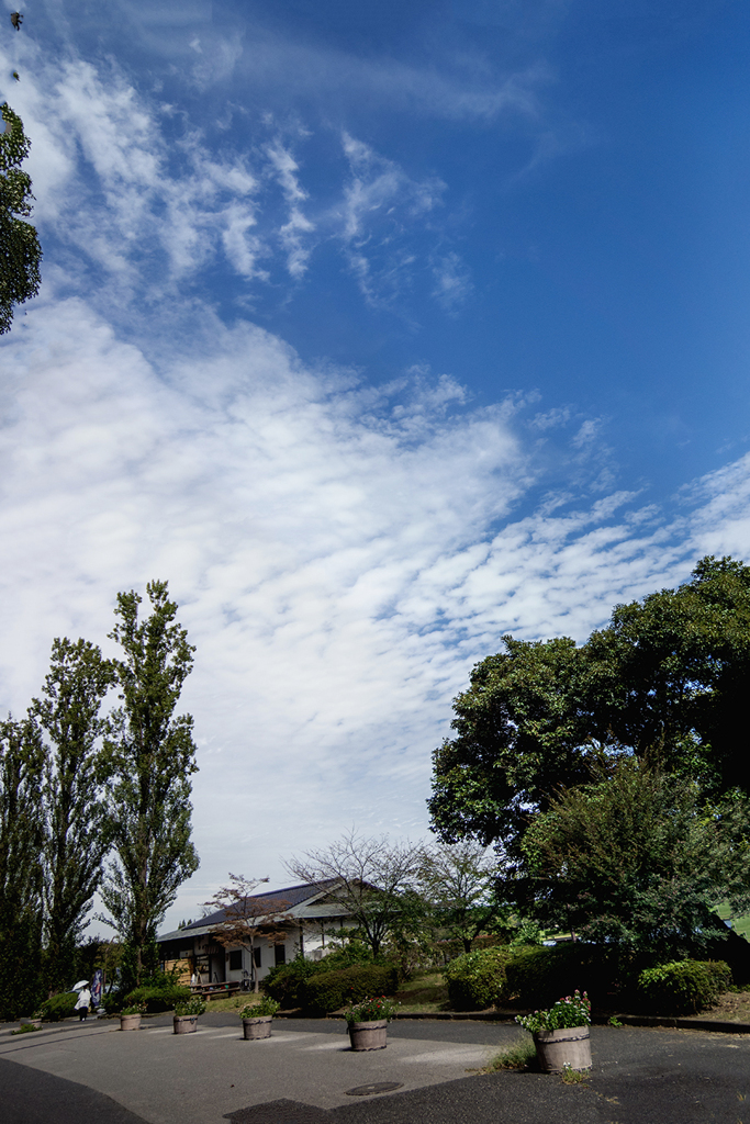 DSC02798. 秋の空もよう
