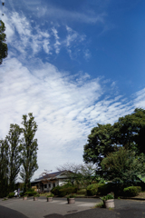 DSC02798. 秋の空もよう