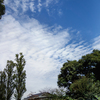 DSC02798. 秋の空もよう