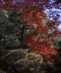 関口芭蕉庵にて　 DSC06265. 