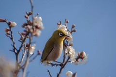 ポートレート撮影　DSC02613