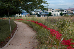 DSC05383. 長閑な日曜日.