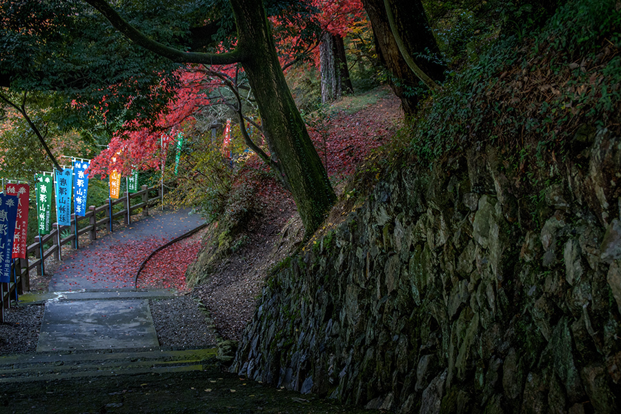 DSC07838  晩秋の山道