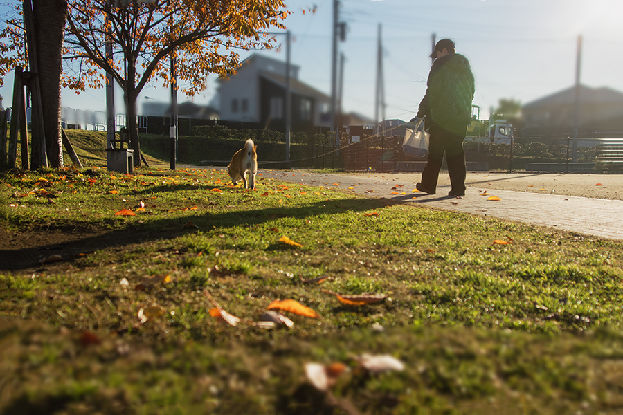 晩秋の旅人　DSC00802