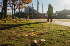 晩秋の旅人　DSC00802