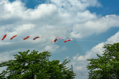 DSC01530. 爽空