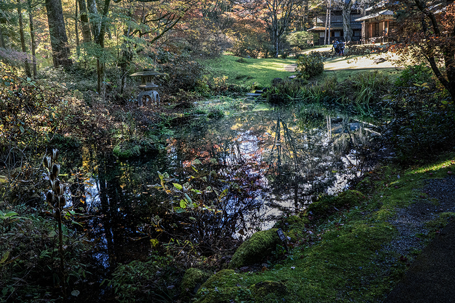 DSC08924. 中庭の池
