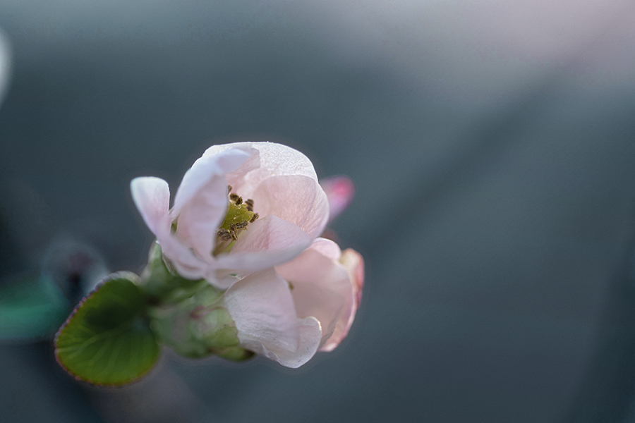 DSC09317 凭れ合う