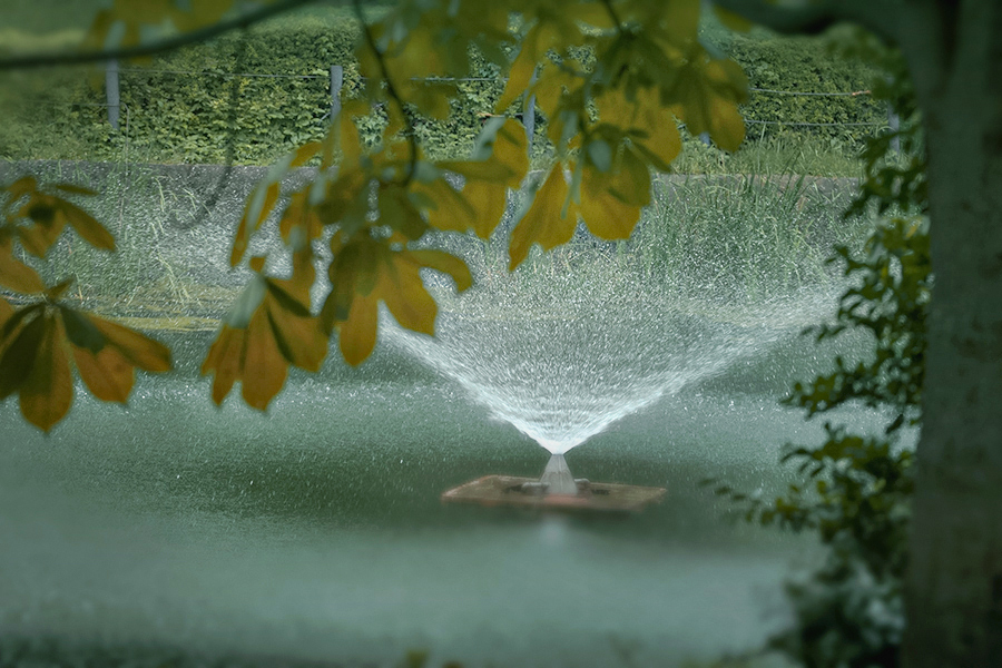 紅葉序章DSC05147