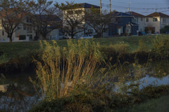 晩秋映して川は流れる-2